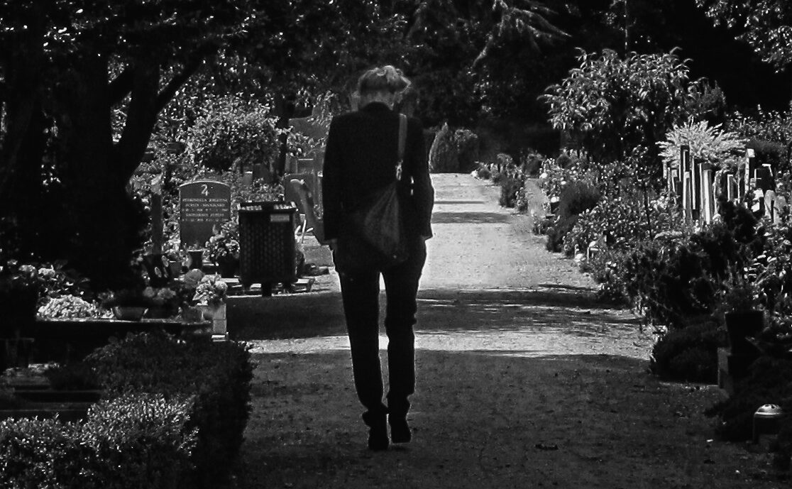 kerstgemis kerstgemis